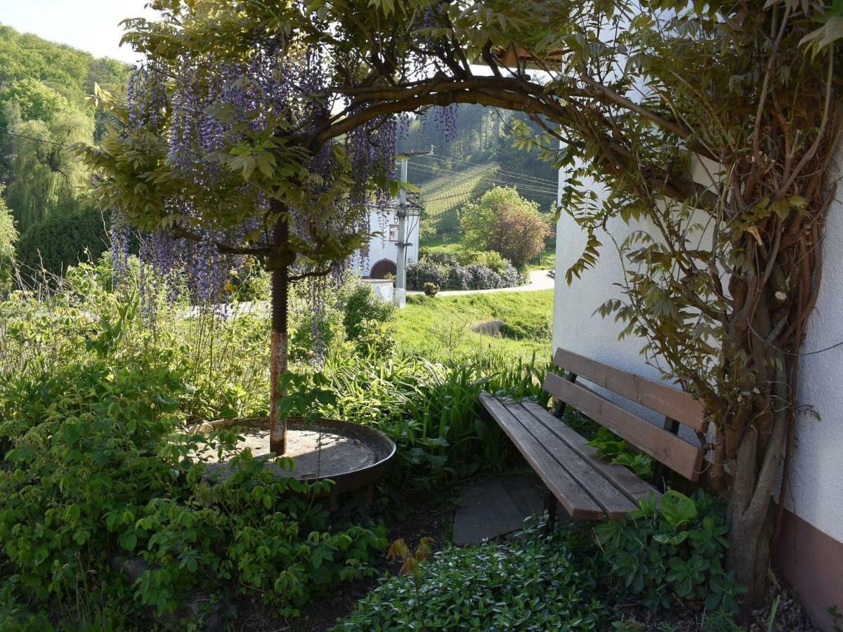 Ferienwohnung Wiedergruen ドゥルバッハ エクステリア 写真